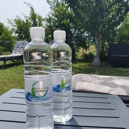 Bazilika * Sečovlje