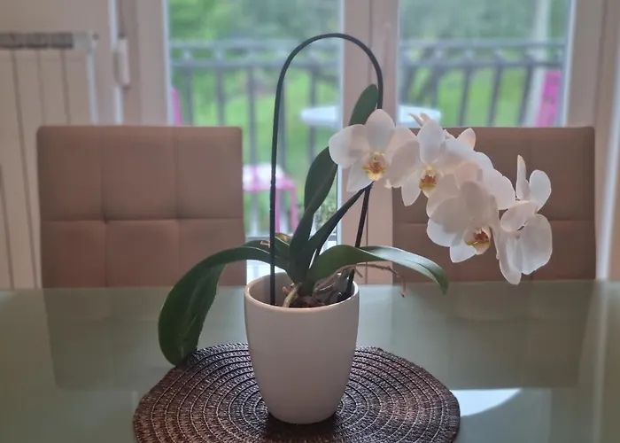 アパート Bazilika Sečovlje