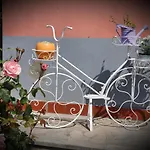 公寓 Bazilika Sečovlje