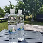 Bazilika * Secovlje