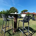 Bazilika