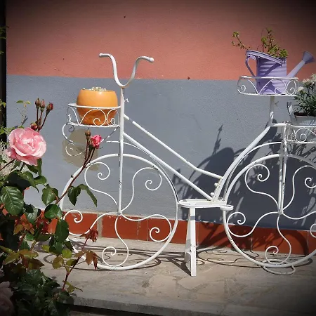 Apartment Bazilika Sečovlje