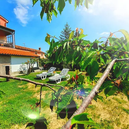 Apartment Bazilika *