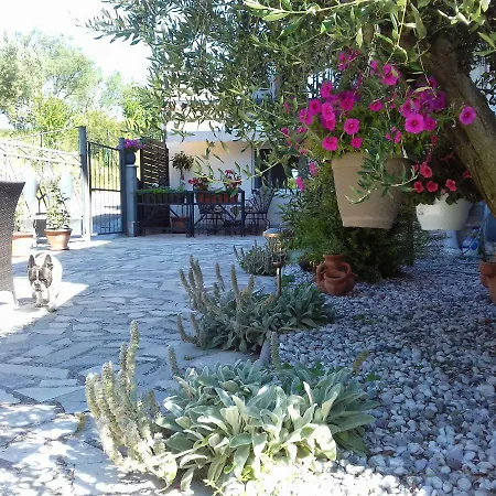 Bazilika Apartman