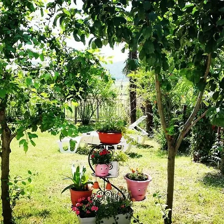 Bazilika Apartment *