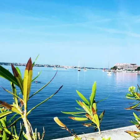 Apartman Bazilika
