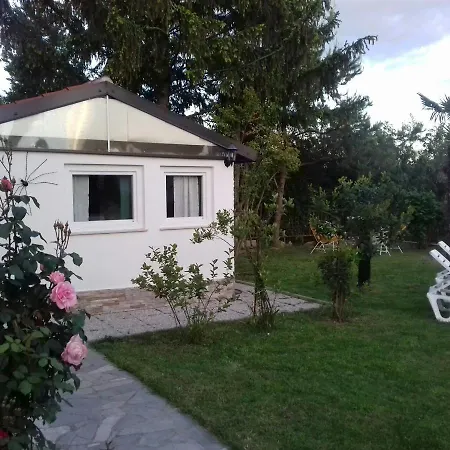 Bazilika *
