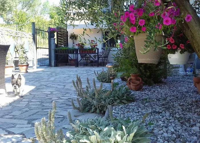 Bazilika Apartamento